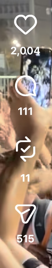 צילום מסך מאינסטגרם: 2,004 לייקים, 111 תגובות, 11 שיתופים, 515 שליחות